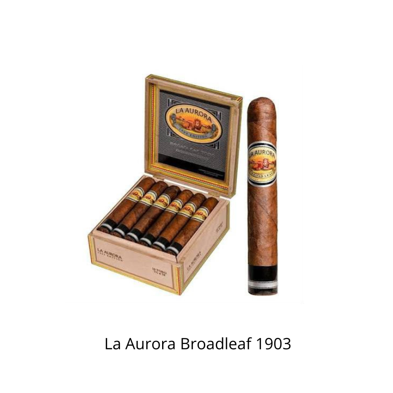 La Aurora Broadleaf 1903